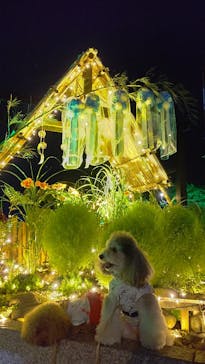 せんだい農業園芸センター　みどりの杜に投稿された画像（2022/8/6）