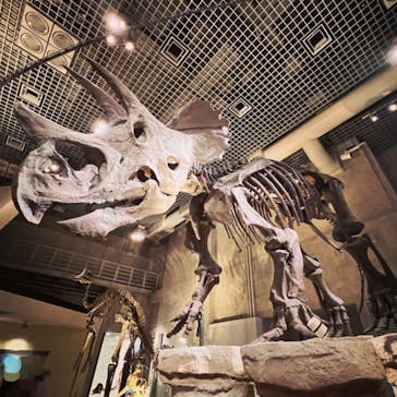 国立科学博物館に投稿された画像（2022/8/6）