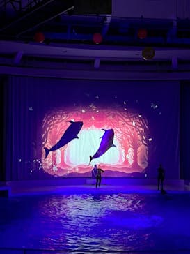 アクアワールド茨城県大洗水族館に投稿された画像（2022/8/6）