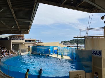 新江ノ島水族館に投稿された画像（2022/8/6）