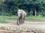 よこはま動物園ズーラシアに投稿された画像（2022/8/6）