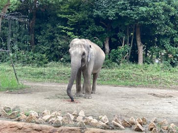 よこはま動物園ズーラシアに投稿された画像（2022/8/6）
