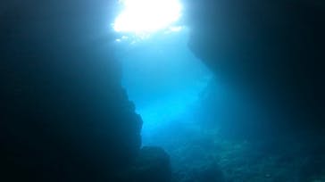 武藤潜水に投稿された画像（2022/8/6）