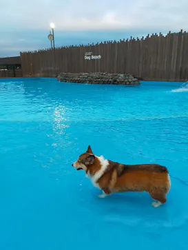 わんダフルネイチャーヴィレッジに投稿された画像（2022/8/6）