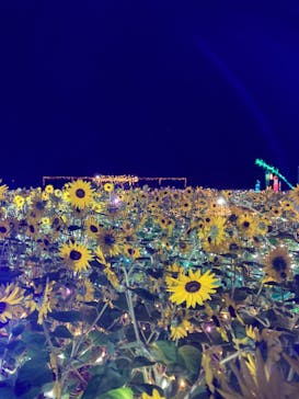 せんだい農業園芸センター　みどりの杜に投稿された画像（2022/8/6）