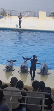 マリンワールド海の中道に投稿された画像（2022/8/6）