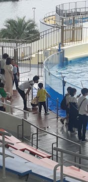 マリンワールド海の中道に投稿された画像（2022/8/6）