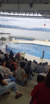 マリンワールド海の中道に投稿された画像（2022/8/6）