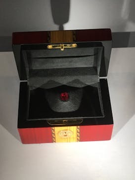 特別展「宝石　地球がうみだすキセキ」（名古屋市科学館　理工館地下２階イベントホール）に投稿された画像（2022/8/6）