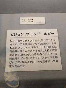 特別展「宝石　地球がうみだすキセキ」（名古屋市科学館　理工館地下２階イベントホール）に投稿された画像（2022/8/6）