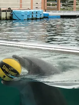 横浜・八景島シーパラダイスに投稿された画像（2022/8/6）