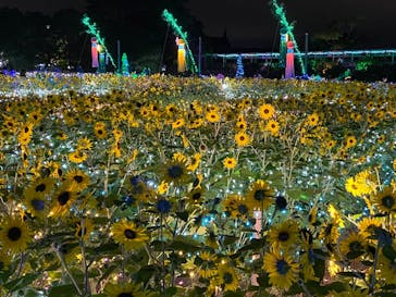 せんだい農業園芸センター　みどりの杜に投稿された画像（2022/8/6）