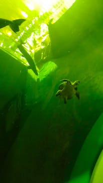 神戸みなと温泉 蓮に投稿された画像（2022/8/7）