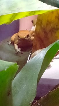 神戸みなと温泉 蓮に投稿された画像（2022/8/7）