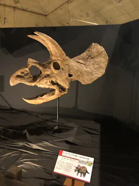 ひらかたパークに投稿された画像（2022/8/7）