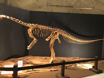 ひらかたパークに投稿された画像（2022/8/7）