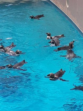 アクアワールド茨城県大洗水族館に投稿された画像（2022/8/6）