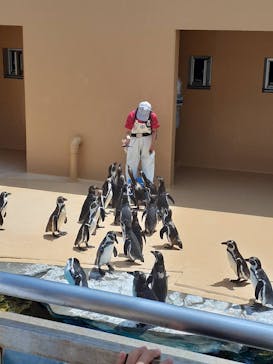 アクアワールド茨城県大洗水族館に投稿された画像（2022/8/6）