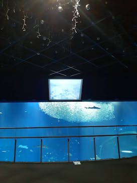 アクアワールド茨城県大洗水族館に投稿された画像（2022/8/6）