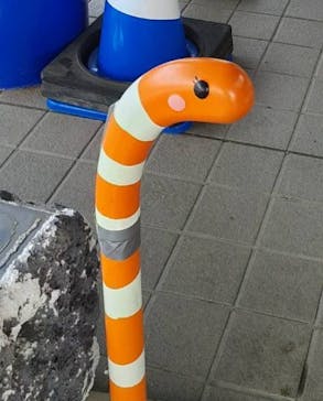 アクアワールド茨城県大洗水族館に投稿された画像（2022/8/6）