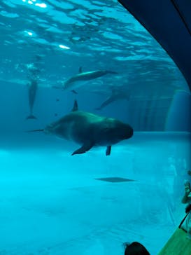 アクアワールド茨城県大洗水族館に投稿された画像（2022/8/7）