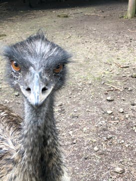 富士花鳥園に投稿された画像（2022/8/7）