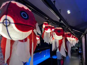 すみだ水族館に投稿された画像（2022/8/7）