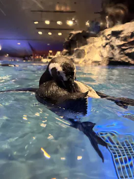 すみだ水族館に投稿された画像（2022/8/7）