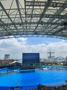 名古屋港水族館に投稿された画像（2022/8/7）
