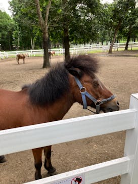 ノーザンホースパークに投稿された画像（2022/8/7）