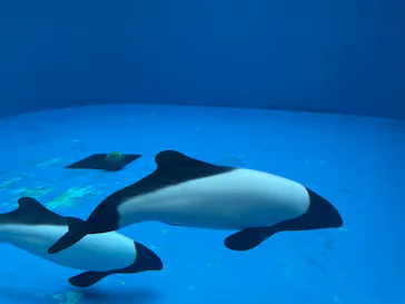 仙台うみの杜水族館に投稿された画像（2022/8/7）