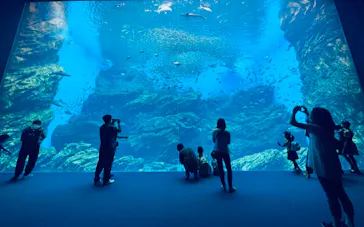 仙台うみの杜水族館に投稿された画像（2022/8/7）