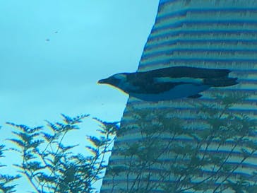 サンシャイン水族館に投稿された画像（2022/8/7）