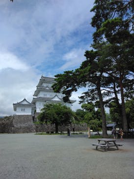 小田原城に投稿された画像（2022/8/7）