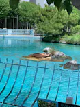 天王寺動物園に投稿された画像（2022/8/7）
