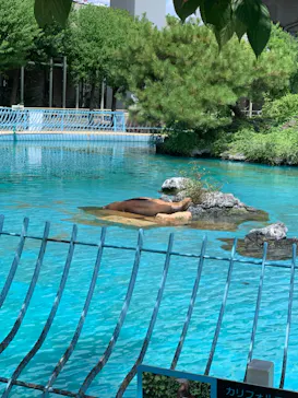 天王寺動物園に投稿された画像（2022/8/7）