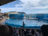 新江ノ島水族館に投稿された画像（2022/8/7）