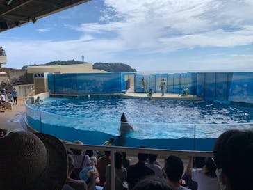 新江ノ島水族館に投稿された画像（2022/8/7）