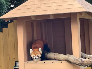 横浜・八景島シーパラダイスに投稿された画像（2022/8/7）