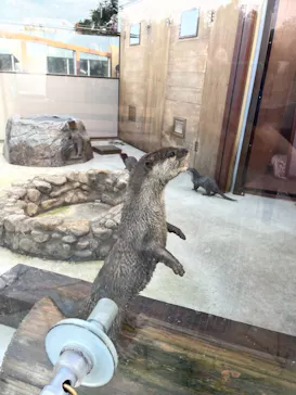 横浜・八景島シーパラダイスに投稿された画像（2022/8/7）