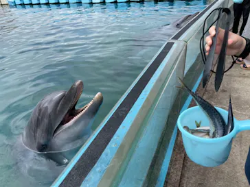横浜・八景島シーパラダイスに投稿された画像（2022/8/7）