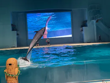 横浜・八景島シーパラダイスに投稿された画像（2022/8/7）