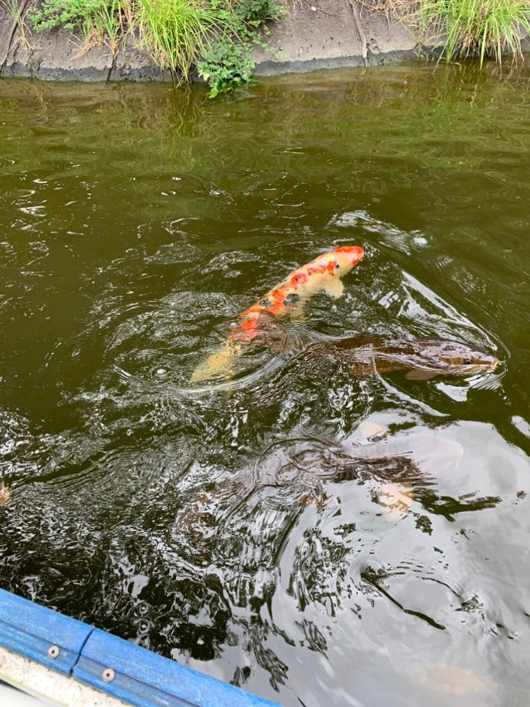 ロマンの森共和国／口コミ一覧｜アソビュー！