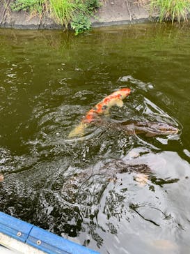 アソビュー株式会社 150954に投稿された画像（2022/8/7）