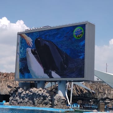 名古屋港水族館に投稿された画像（2022/8/7）