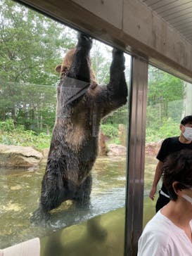 サホロリゾート　ベア･マウンテンに投稿された画像（2022/8/7）