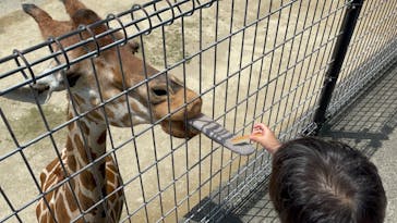 姫路セントラルパークに投稿された画像（2022/8/7）