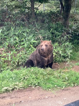サホロリゾート　ベア･マウンテンに投稿された画像（2022/8/7）