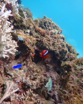 宮古島 ADVENTURE PiPi（ミヤコジマ アドベンチャー ピピ）に投稿された画像（2022/8/7）