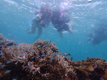 宮古島 ADVENTURE PiPi（ミヤコジマ アドベンチャー ピピ）に投稿された画像（2022/8/7）